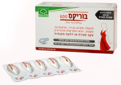 בוריקס 600