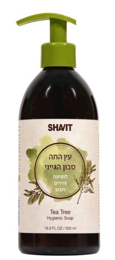 שביט