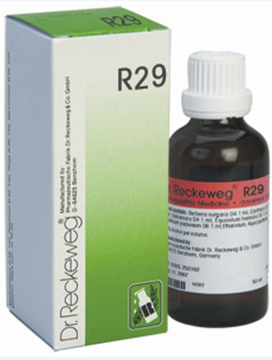 Dr. Reckweg R29