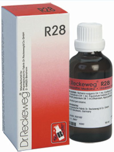 Dr.Reckeweg R28