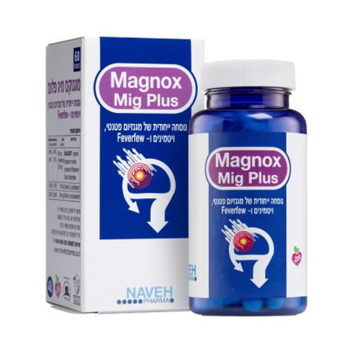 מגנוקס מיג פלוס Magnox Mig Plus